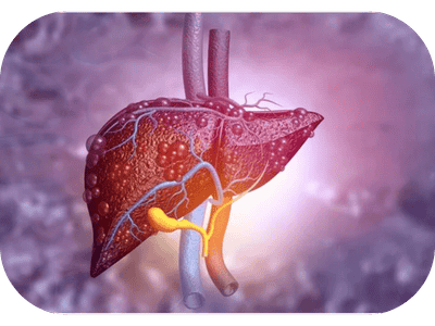 Liver Treatment
